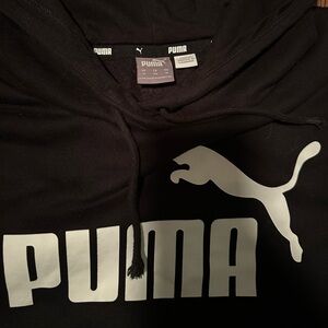 puma